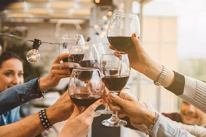 Group of friends toasting with red wine during the Vesuvius tour’s included easy lunch experience.