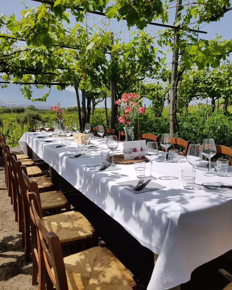 Elegant long table set for dinner in a Vesuvius vineyard, shaded by lush vines with panoramic views of Naples Bay