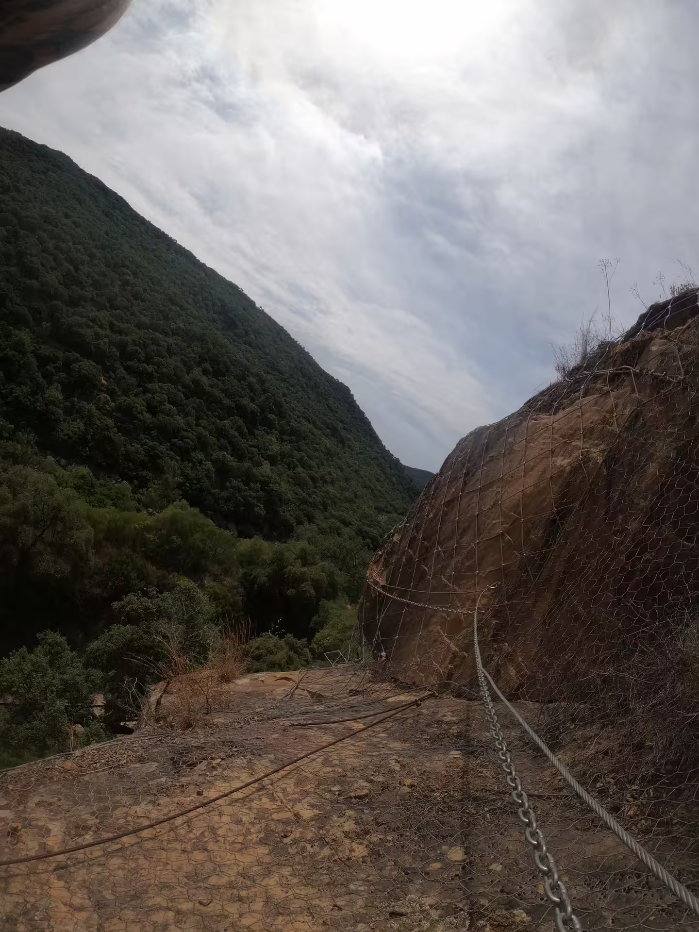Scenic view of Via Ferrata El Caimán trail with safety chains and lush greenery in Alcornocales Natural Park adventure.