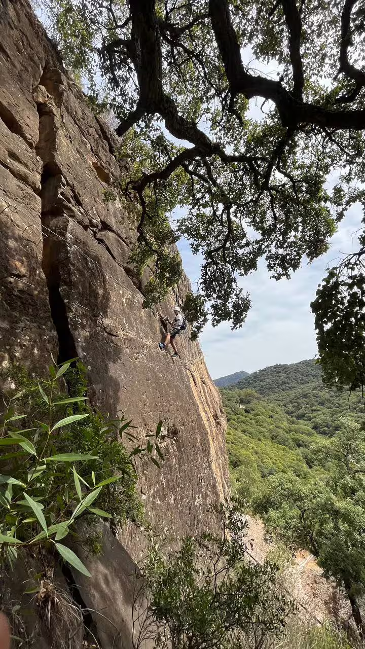 Climber navigating rocky ascent on Via Ferrata El Caimán, surrounded by lush greenery in Alcornocales Natural Park.