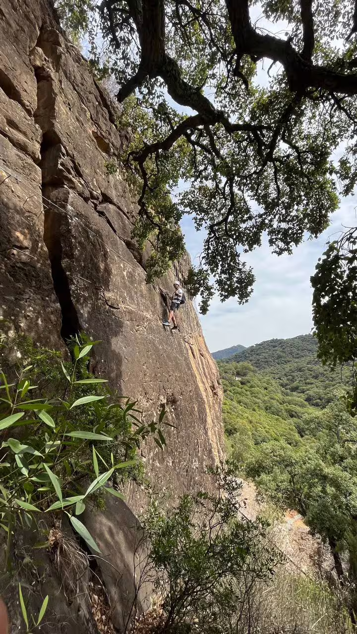Climber scaling a rocky cliff surrounded by verdant forest in Alcornocales Natural Park.