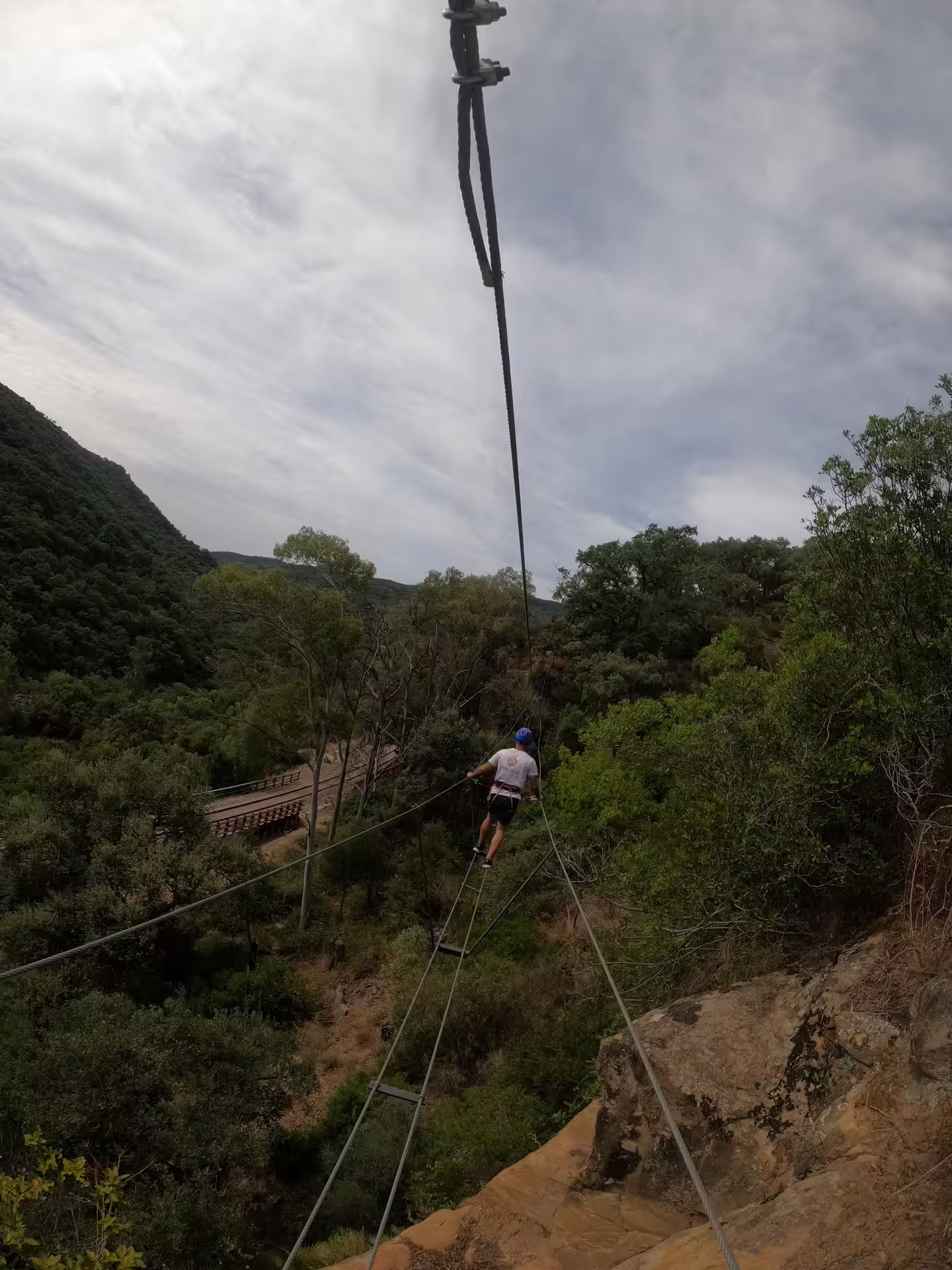 Thrill-seeker traversing a high-wire bridge with scenic forest views in Alcornocales Natural Park.