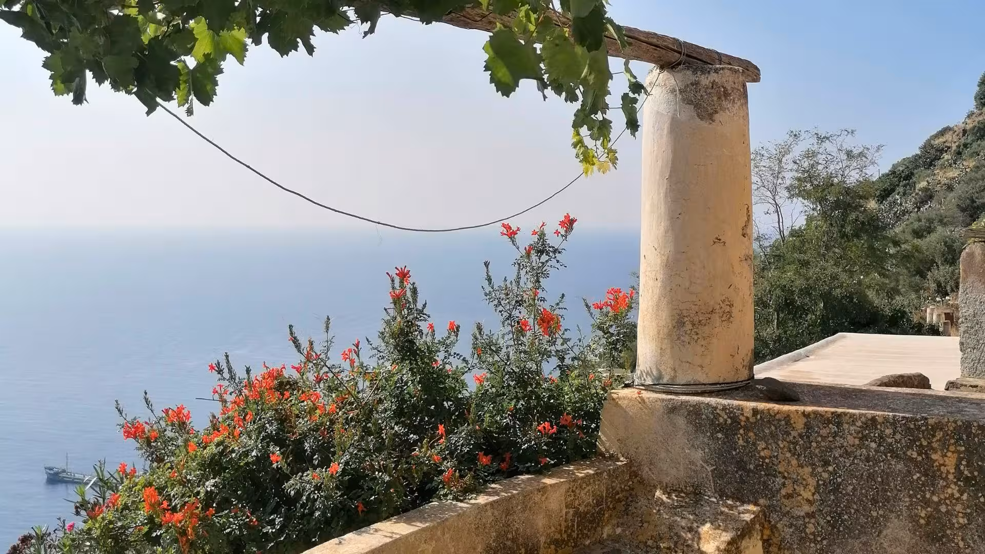Scenic view of flowers and sea from a terrace in the Aeolian Islands, highlighting nature's beauty on a motorboat tour.