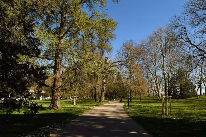 Tree-lined walking path in Vichy park on a sunny day with green lawns and blue sky