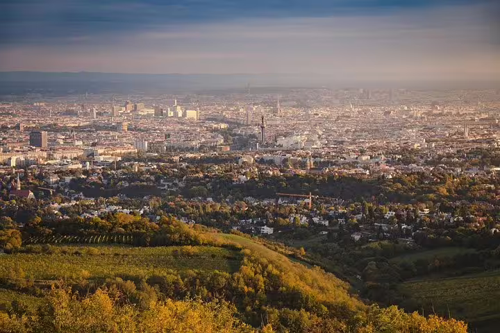 Aerial view of Vienna cityscape with lush greenery and historic architecture, ideal for a private half-day sightseeing tour.