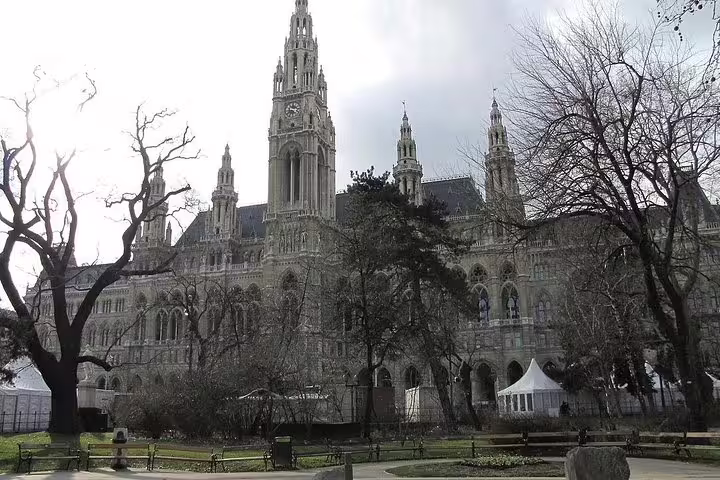 Majestic Vienna City Hall in winter, showcasing Gothic architecture on a private half-day sightseeing tour in Vienna.