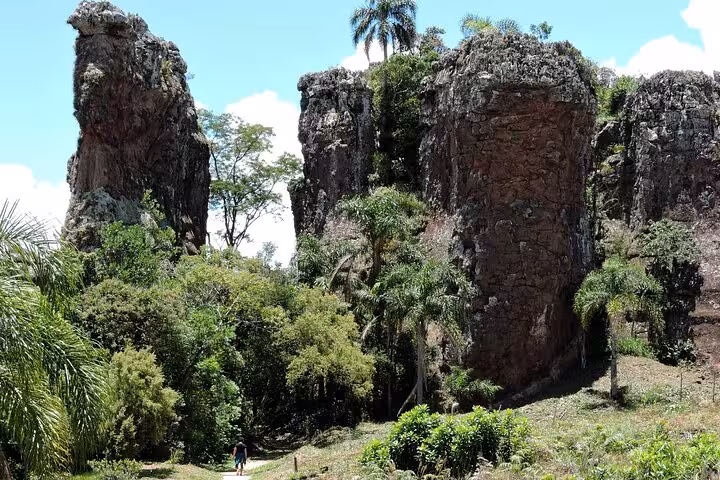 Majestic stone columns surrounded by verdant foliage in the scenic landscape of Vila Velha State Park.
