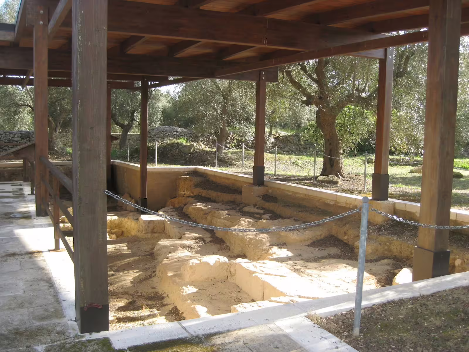 Ancient rock-cut ruins in Villa Castelli olive grove, explored on highlights walking tour with olive oil tasting