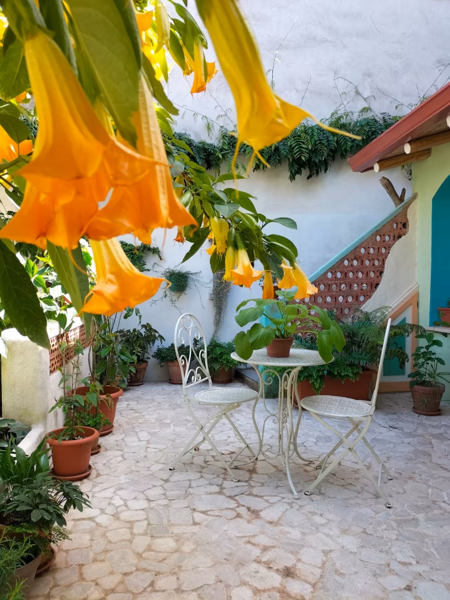 Charming courtyard with vibrant yellow flowers and rustic seating in Villacidro, perfect for a Sardinian weaving workshop.