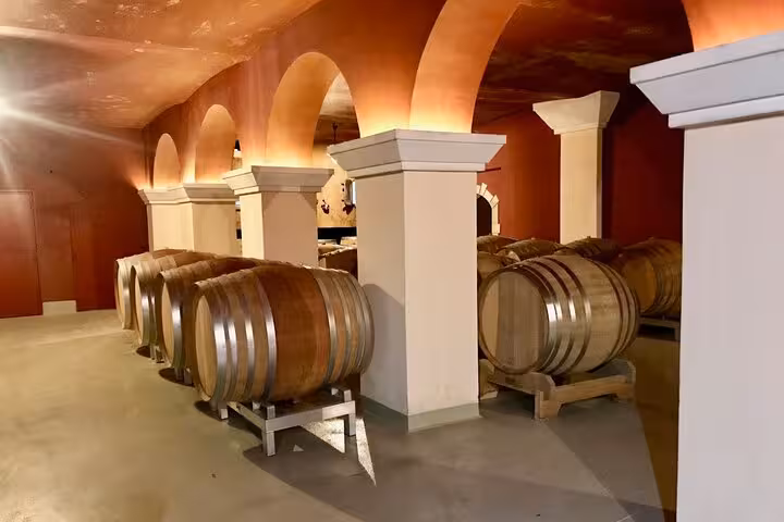 Elegant wine cellar with wooden barrels in Villefranche sur Mer, highlighting wine tasting on a private tour.