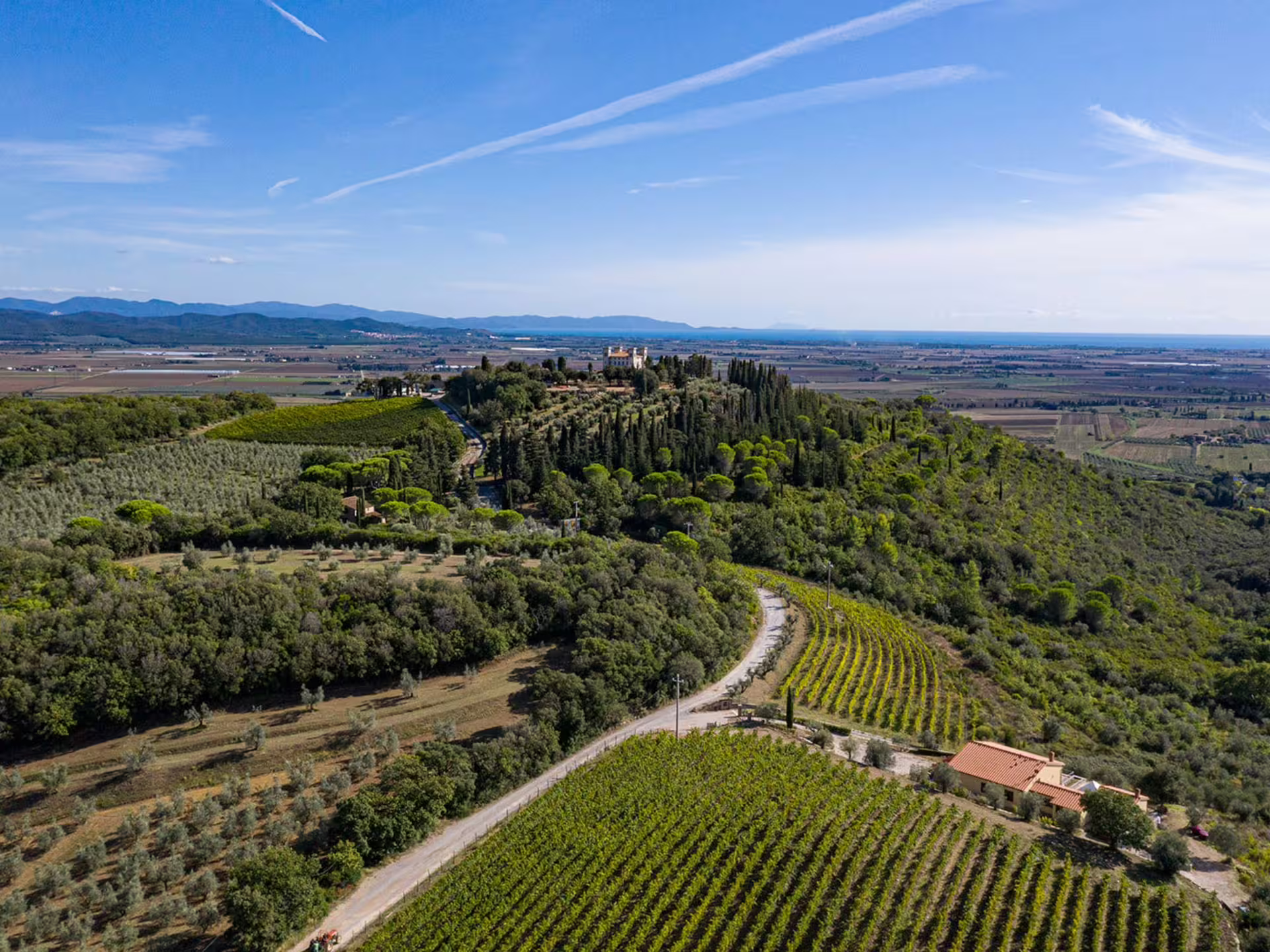 Aerial view of lush vineyards and countryside near Livorno for wine and food pairing experiences.