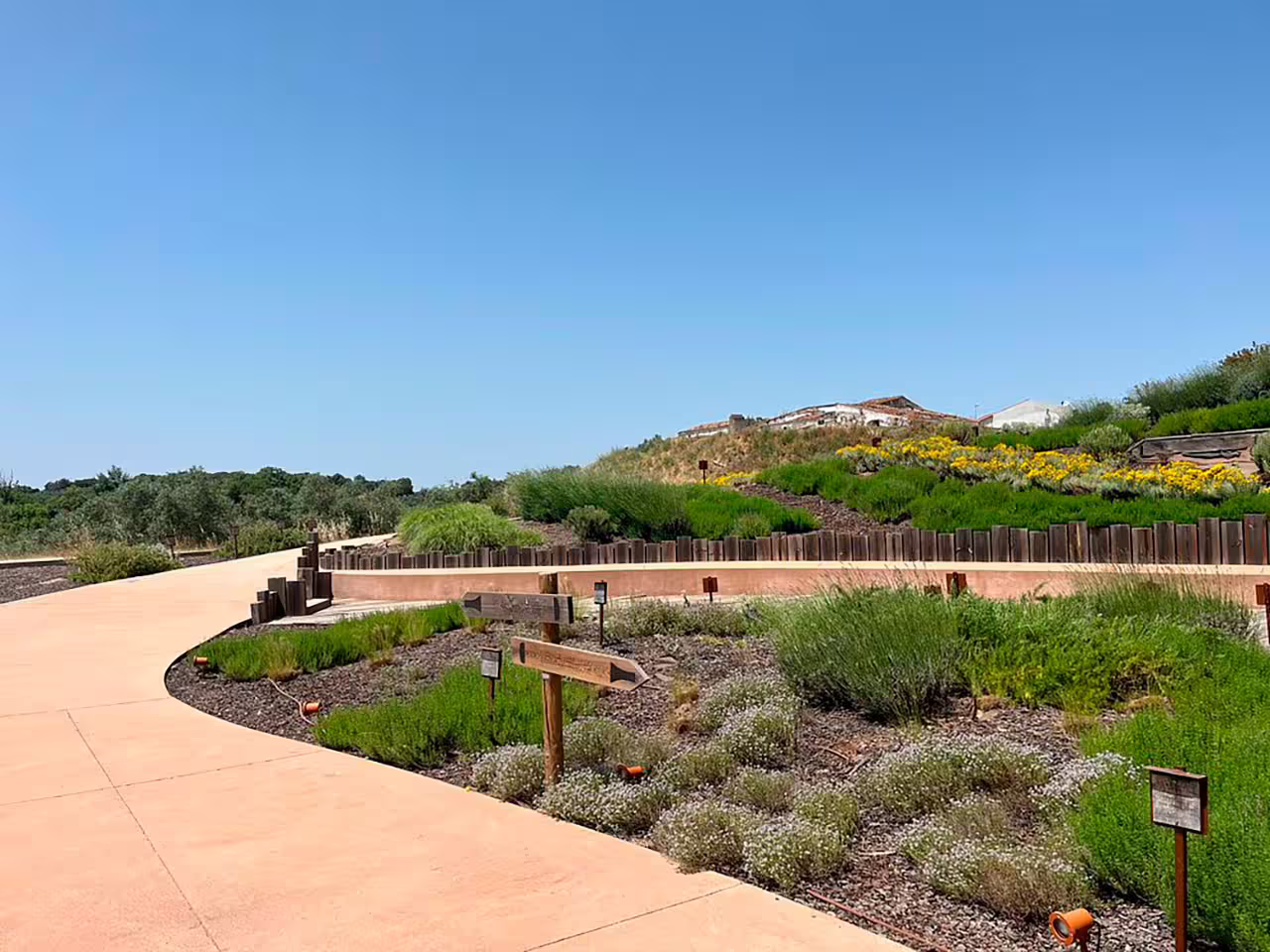 Scenic vineyard path under a clear blue sky, perfect for a tour and tasting of three exquisite wines in a lush, serene setting.