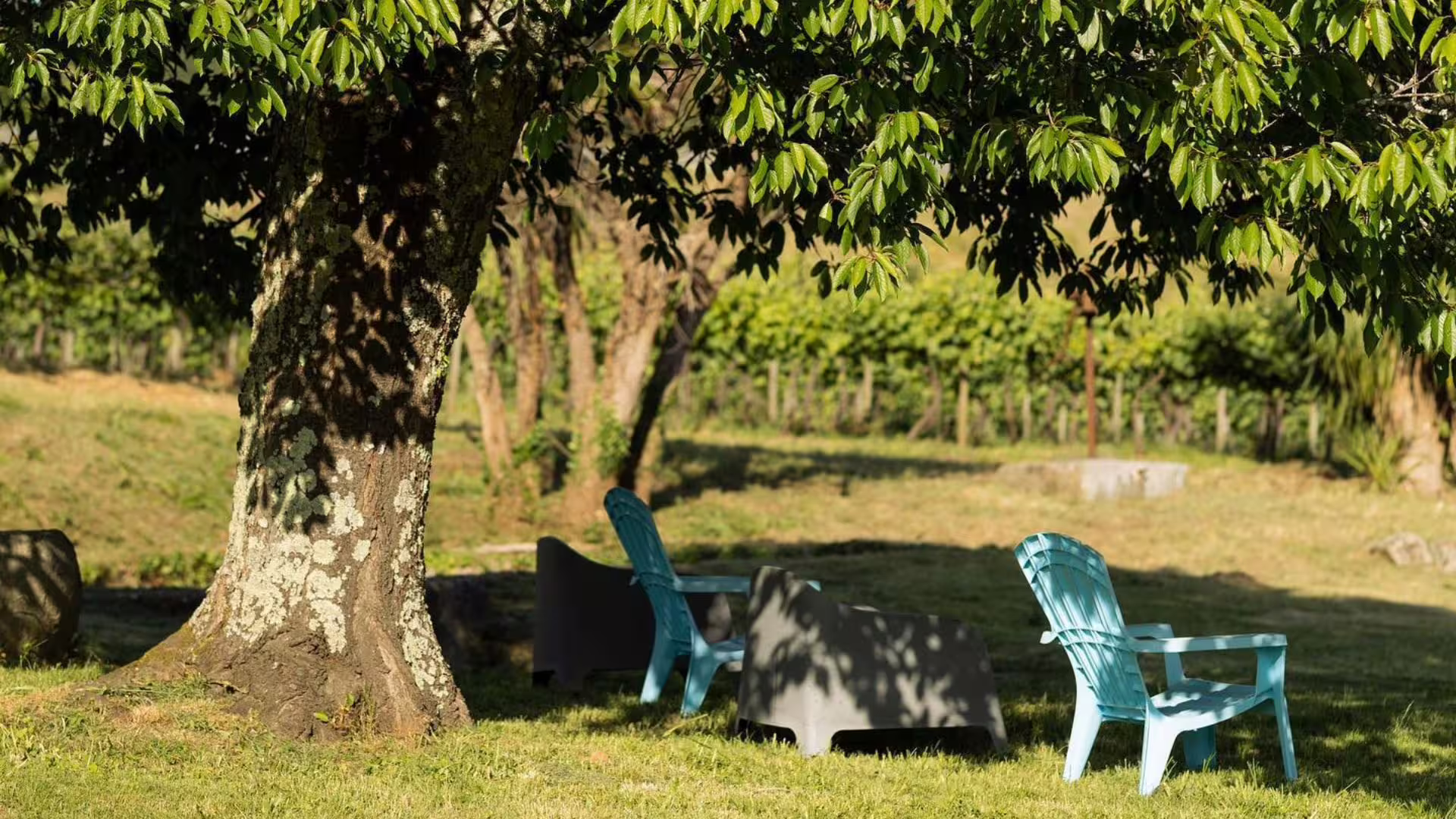 Image of a leisure area at one of the region's estates
