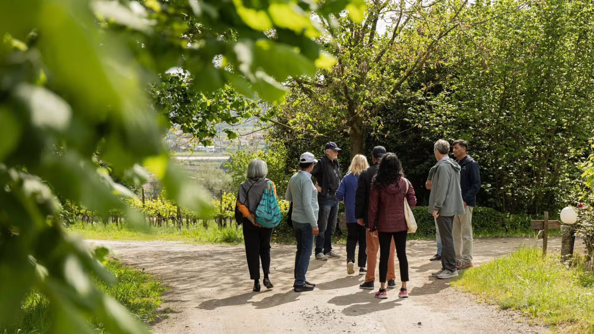 Image of Visit to a Farm in the Vinho Verde Region