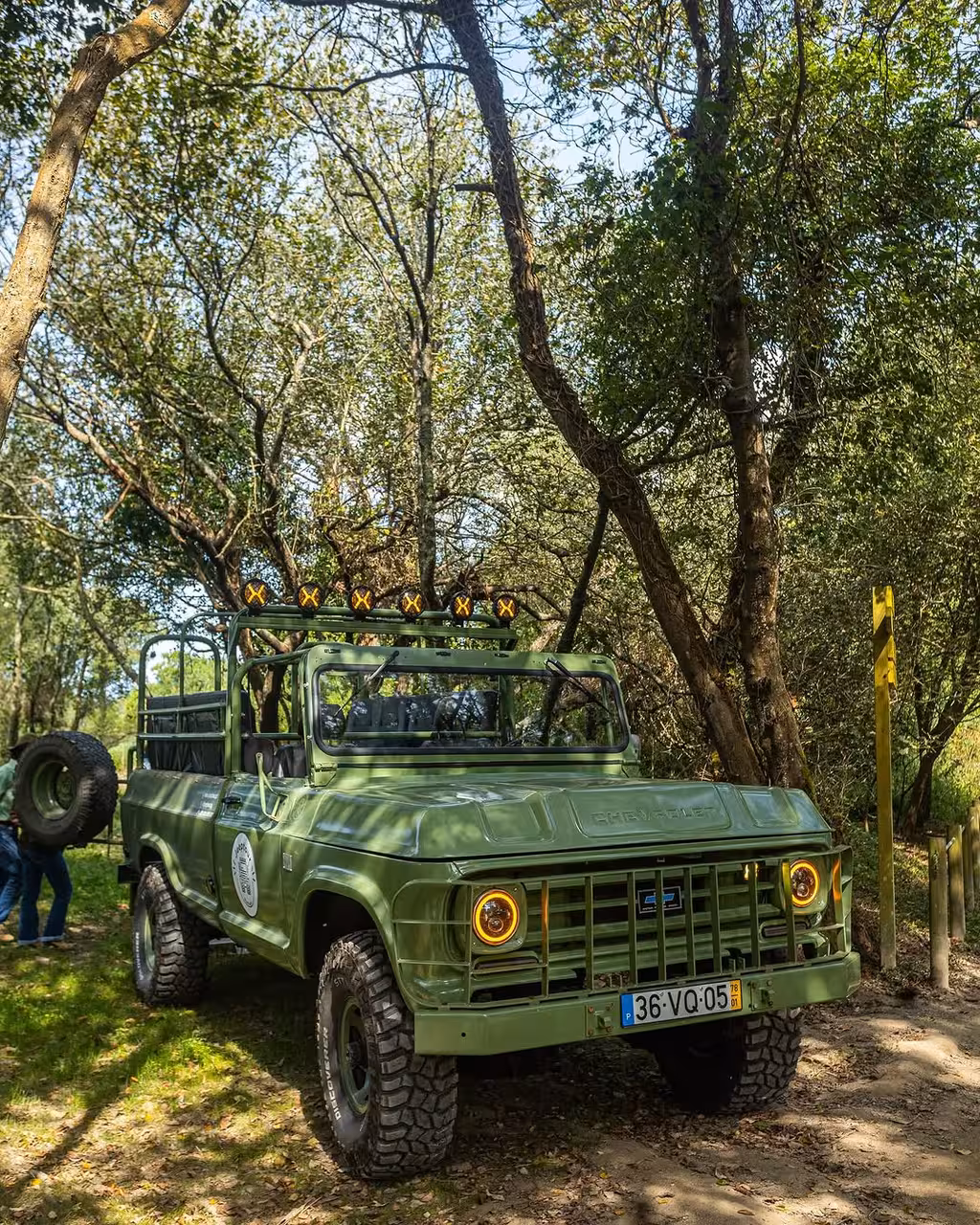 Vintage 4x4 tour vehicle parked in coastal woodland for North Coast birdwatching adventure experience