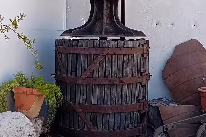 Vintage wooden wine press surrounded by plants at a Chinchón winery, highlighting rustic charm for Madrid wine tours.
