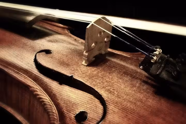 Close-up of violin strings and bridge, setting the mood for a musical aperitif concert and local tasting