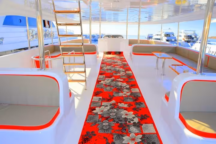 Upper deck VIP boat with ladder and tables, ready for Ras Mohamed National Park and White Island diving