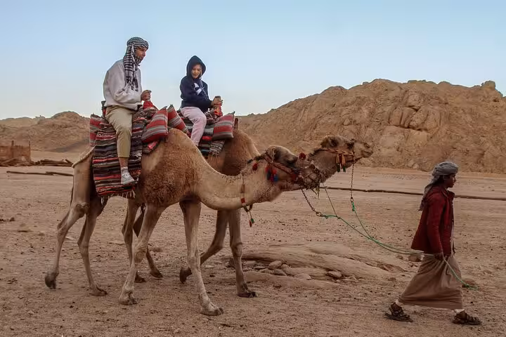 Camel ride across the desert during Viva Safari Quad and Spider Car adventure, ending with dinner and show