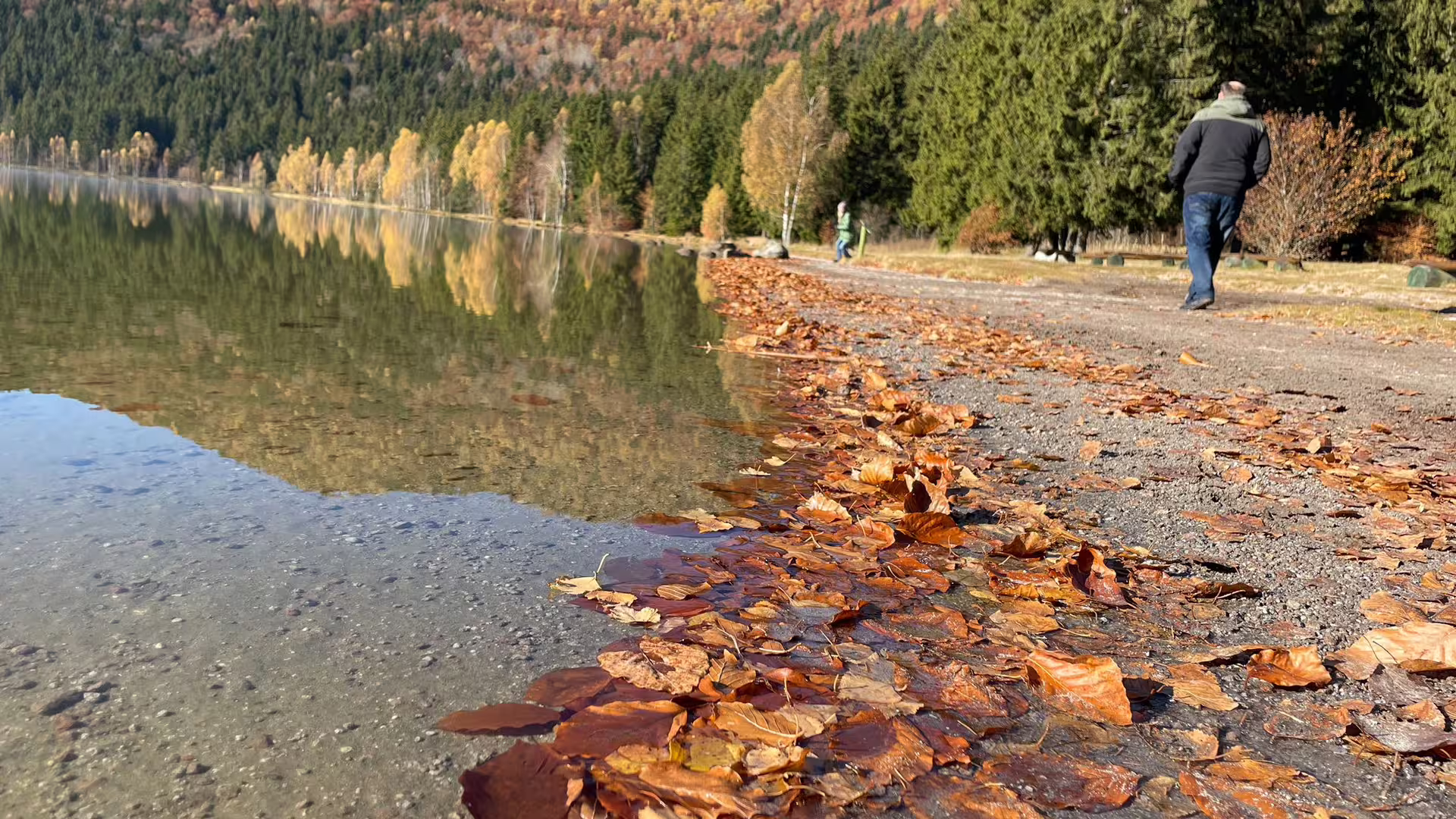 Autumn leaves along the shore of a calm volcanic lake surrounded by forested mountains in Eastern Europe