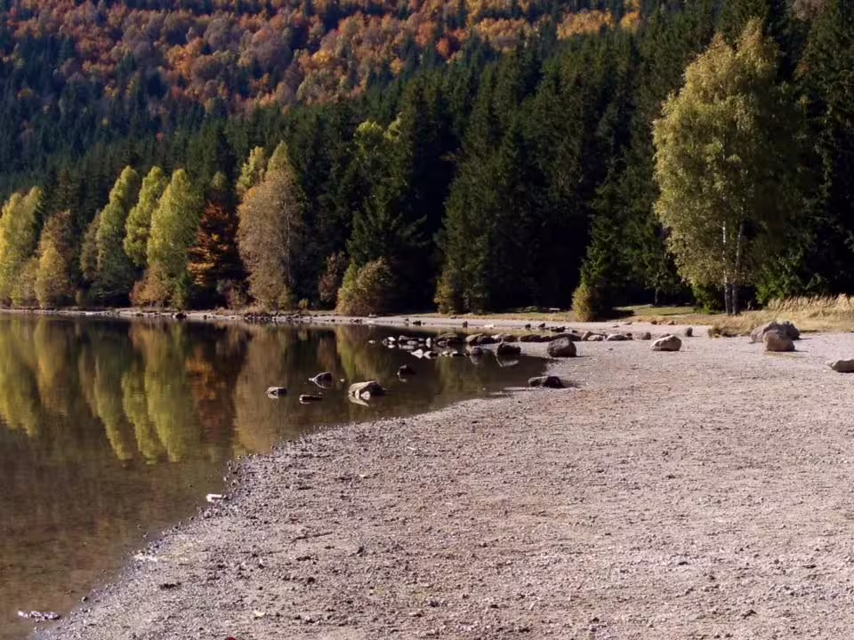 Rocky shoreline of a volcanic lake surrounded by autumn forest in Eastern Europe