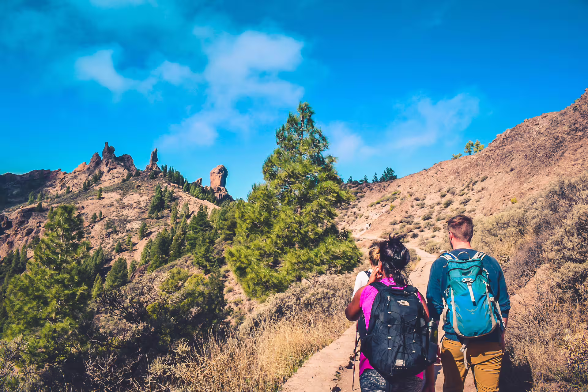 Hikers exploring rugged volcanic landscapes and lush pine trees on the Volcano Heart Tour under a vibrant blue sky.