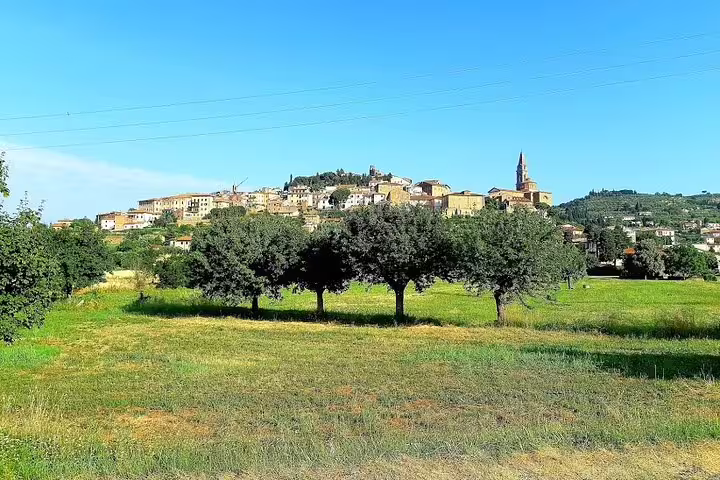 Hilltop village and church near Volterra surrounded by olive groves and vineyards on a private Livorno Port shore excursion with wines