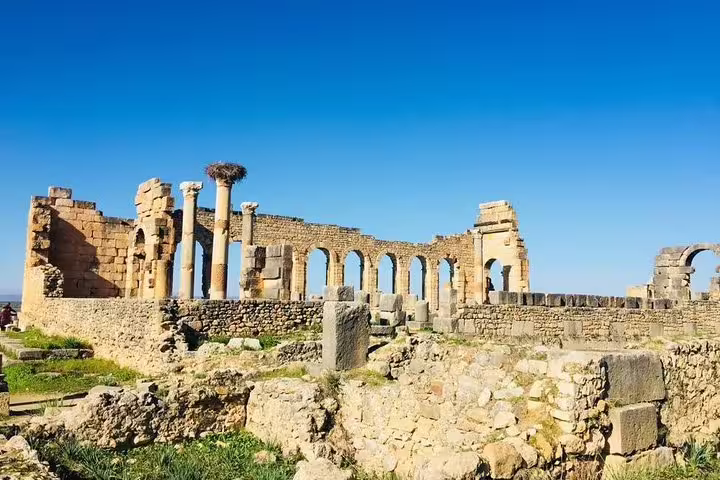 Ancient Roman ruins of Volubilis near Meknes, a highlight on Morocco Best 8 days tour from Tangier