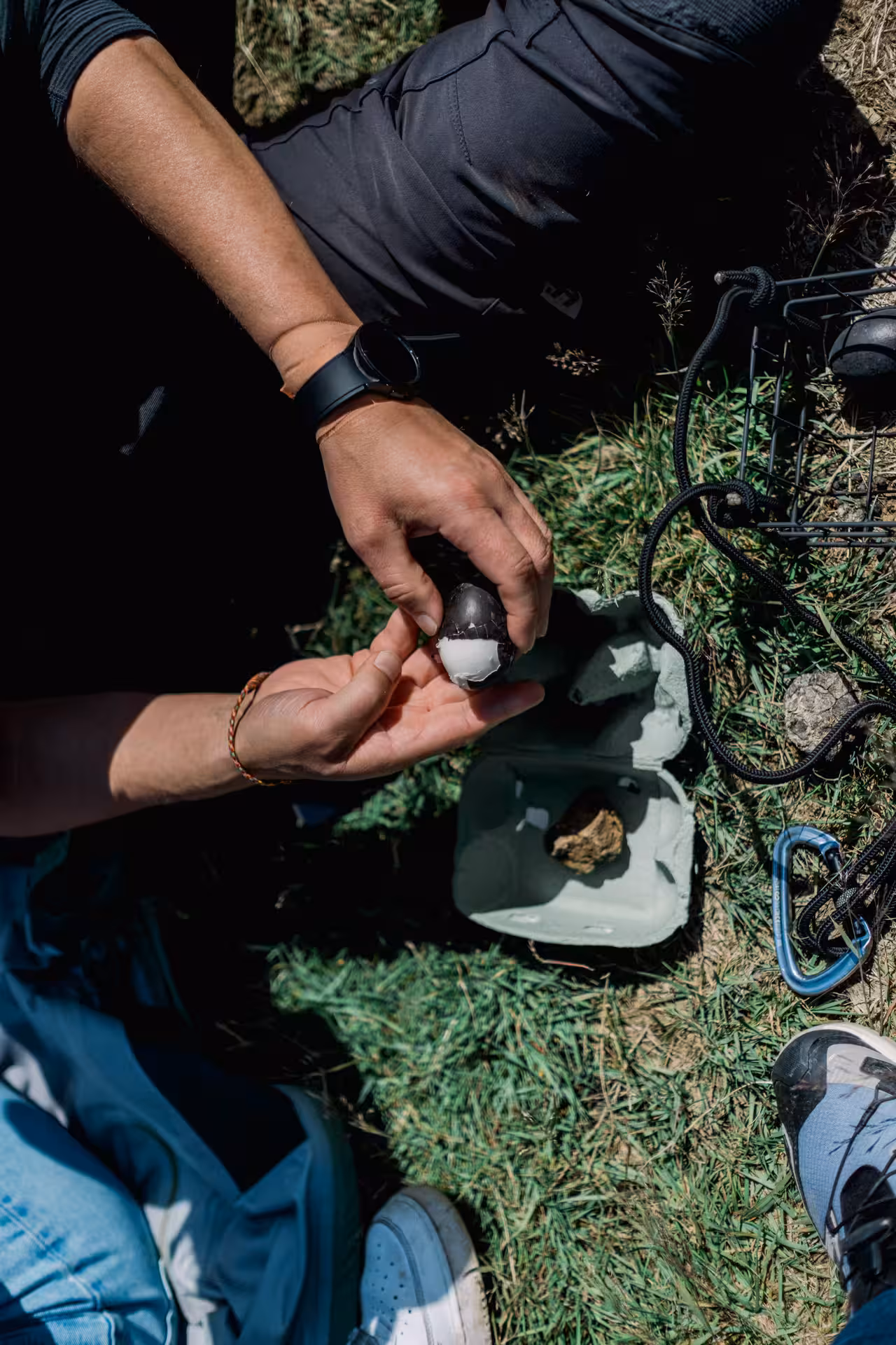 Hands peeling a dark geothermal egg from egg carton outdoors in Iceland