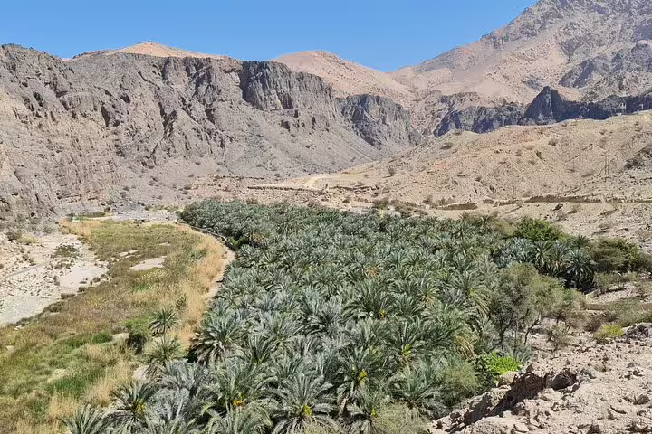 Expansive palm oasis nestled within rocky mountains at Wadi Al Arbeieen, perfect for a scenic Oman exploration.
