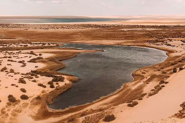 Aerial view of Wadi El Rayan lake and wetlands in Fayoum, Egypt, prime spot on full-day bird watching tour