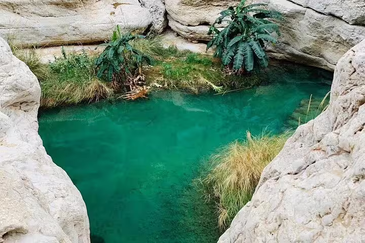 Crystal clear turquoise pool in Wadi Shab surrounded by lush greenery and rocky terrain in Muscat, Oman.