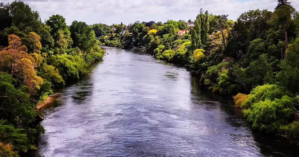 Scenic view of the Waikato River surrounded by lush greenery on the Auckland-Rotorua luxury tour.