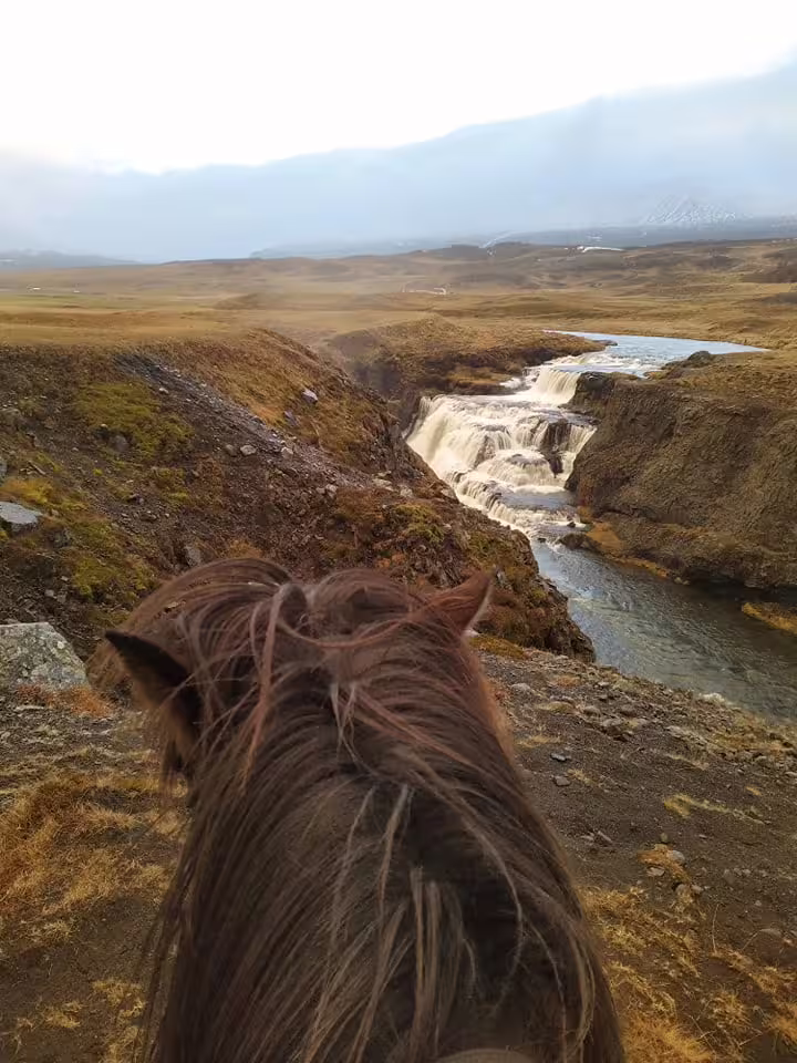 Horseback riding view over a cascading waterfall in the golden highlands of Skagafjordur, Iceland