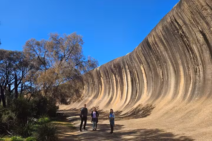 Visitors admire the stunning geological formation of Wave Rock, a must-see attraction on day tours near Mulka's Cave.