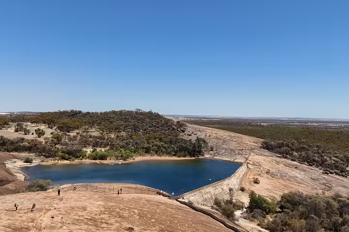 Scenic view of Wave Rock's natural pool surrounded by lush greenery under a clear blue sky, perfect for day tours.