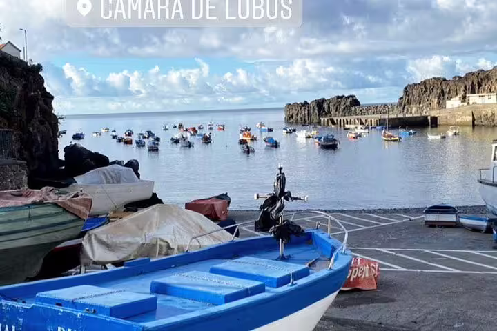 Charming fishing boats in Camara de Lobos harbor, surrounded by rocky cliffs and serene waters on West Tour route.