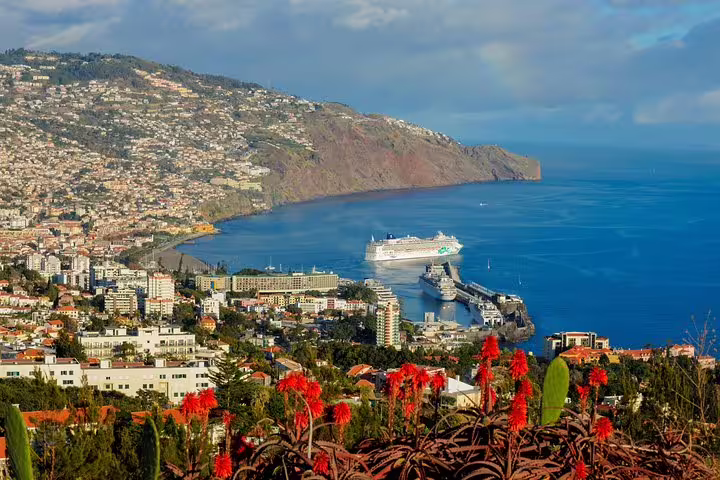 Panoramic view of a bustling harbor city with a cruise ship docked, surrounded by hills on the West Tour.