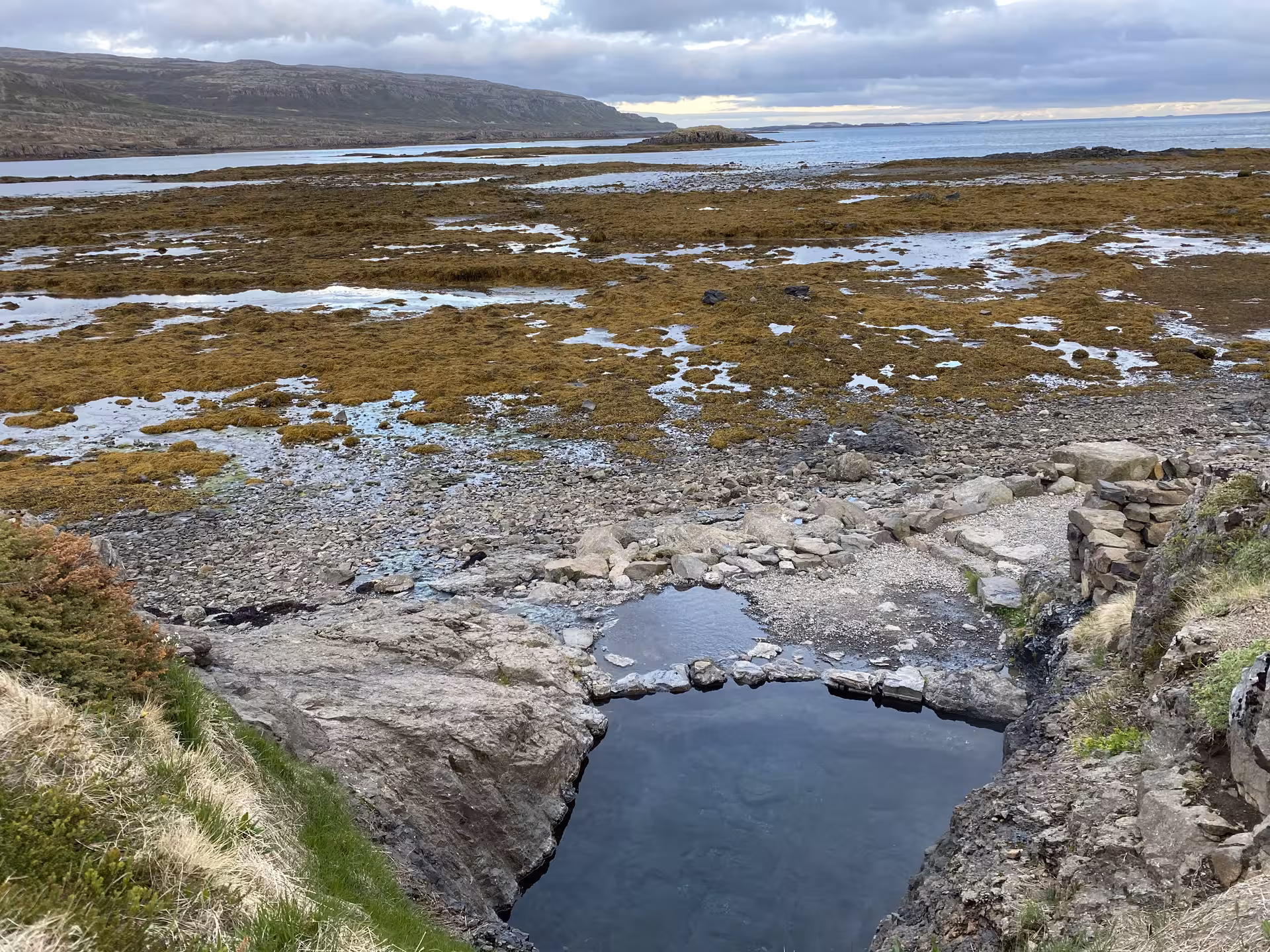 Rocky tidal pool on the Westfjords coastline near Isafjordur with seaweed-covered shores and cliffs beyond