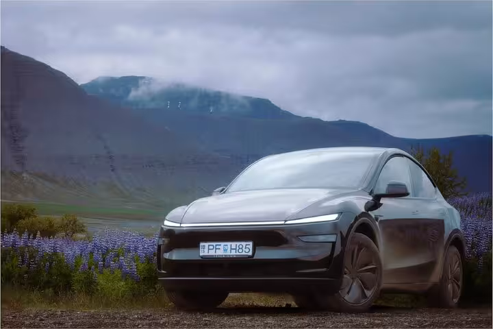 Dark electric car parked in Westfjords Iceland with lupine flowers and misty mountains in background