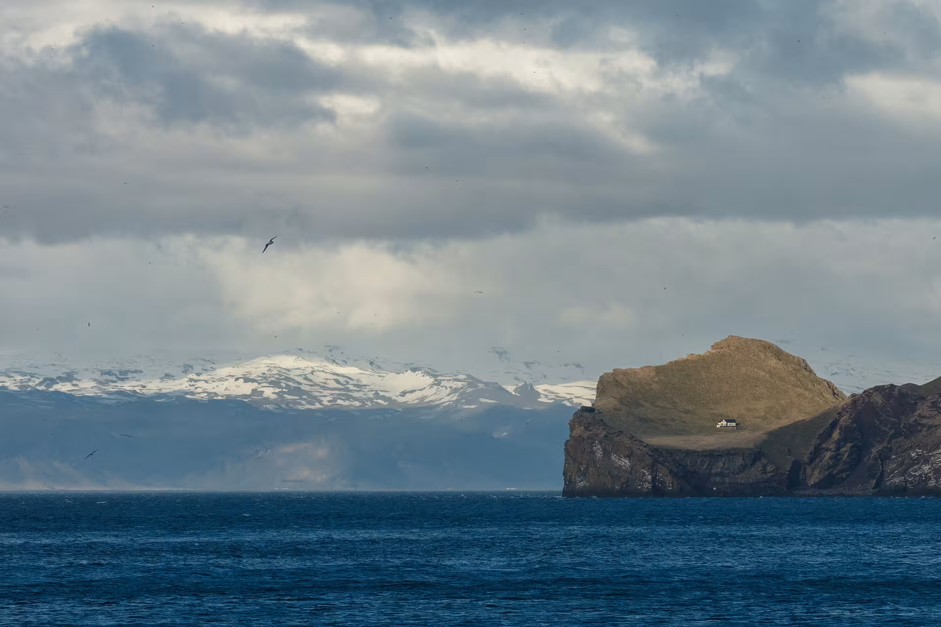 Westman Islands rocky cliffs with lone house, snow-capped mountains and seabirds over the Atlantic Ocean