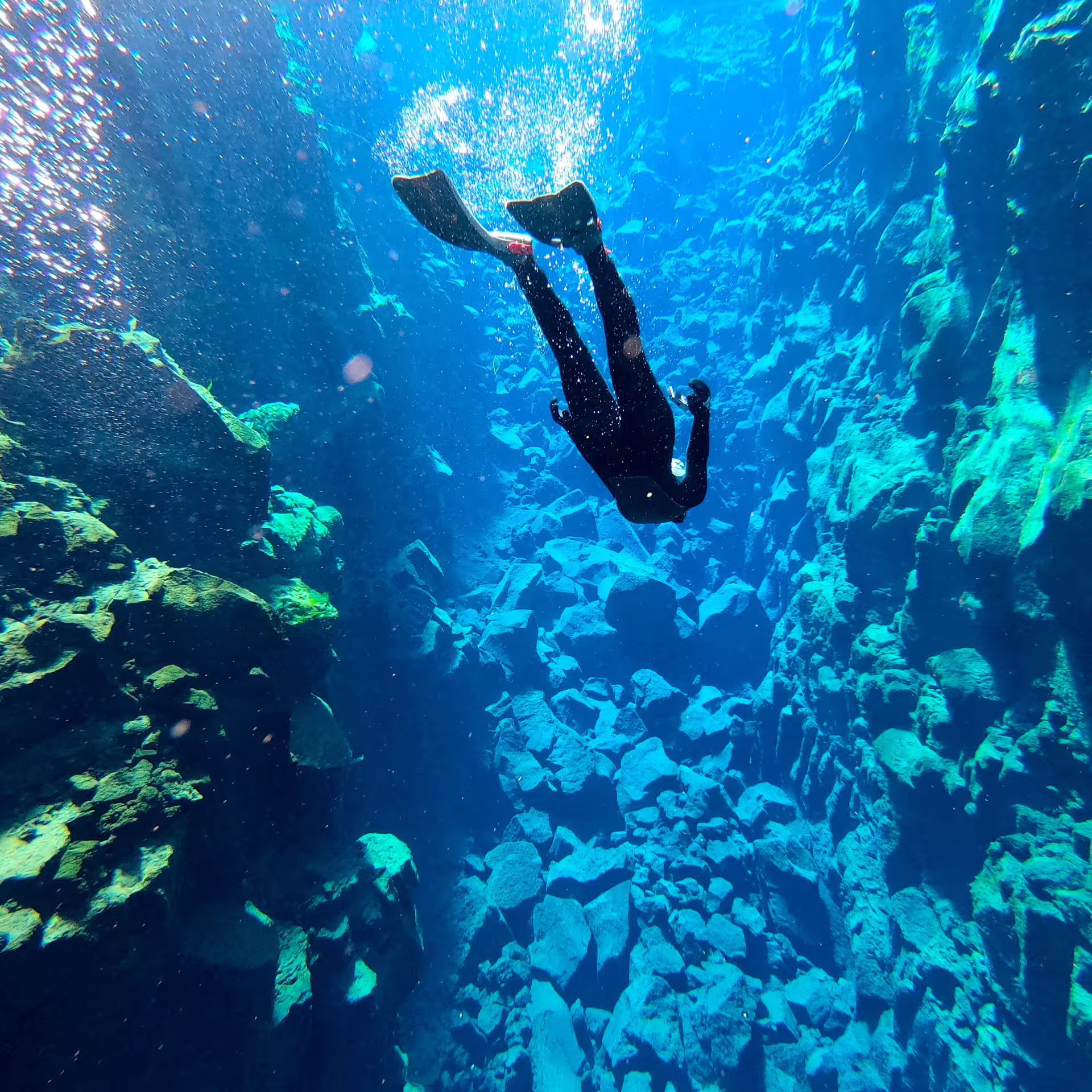 Snorkeler explores the crystal-clear waters of Silfra fissure in Iceland, showcasing vibrant underwater landscapes near Reykjavik.