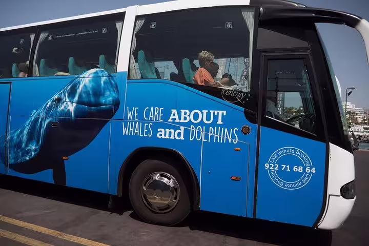 Tour bus promoting whale and dolphin conservation, ideal for eco-friendly transport to Costa Adeje catamaran tours.