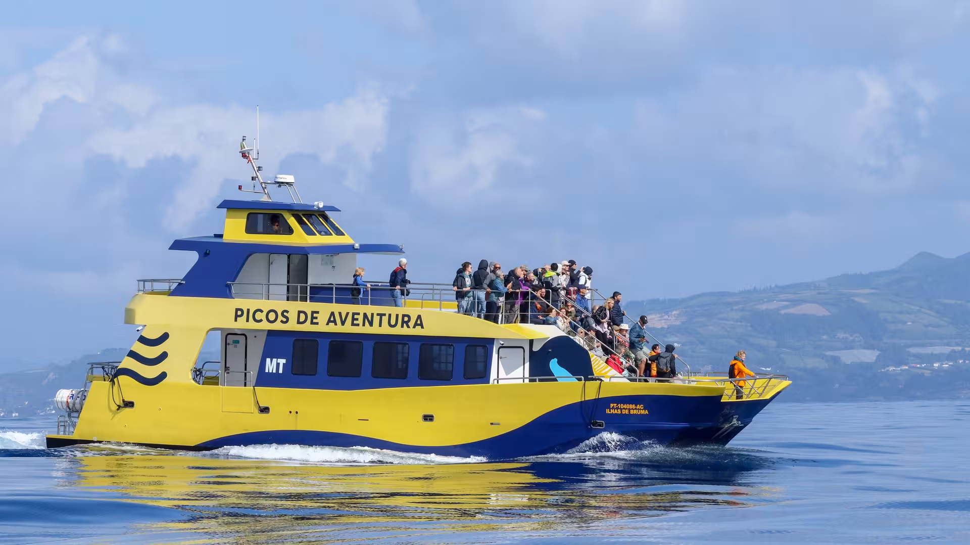 Yellow Picos de Aventura boat with passengers on deck for a half-day whale and dolphin watching excursion