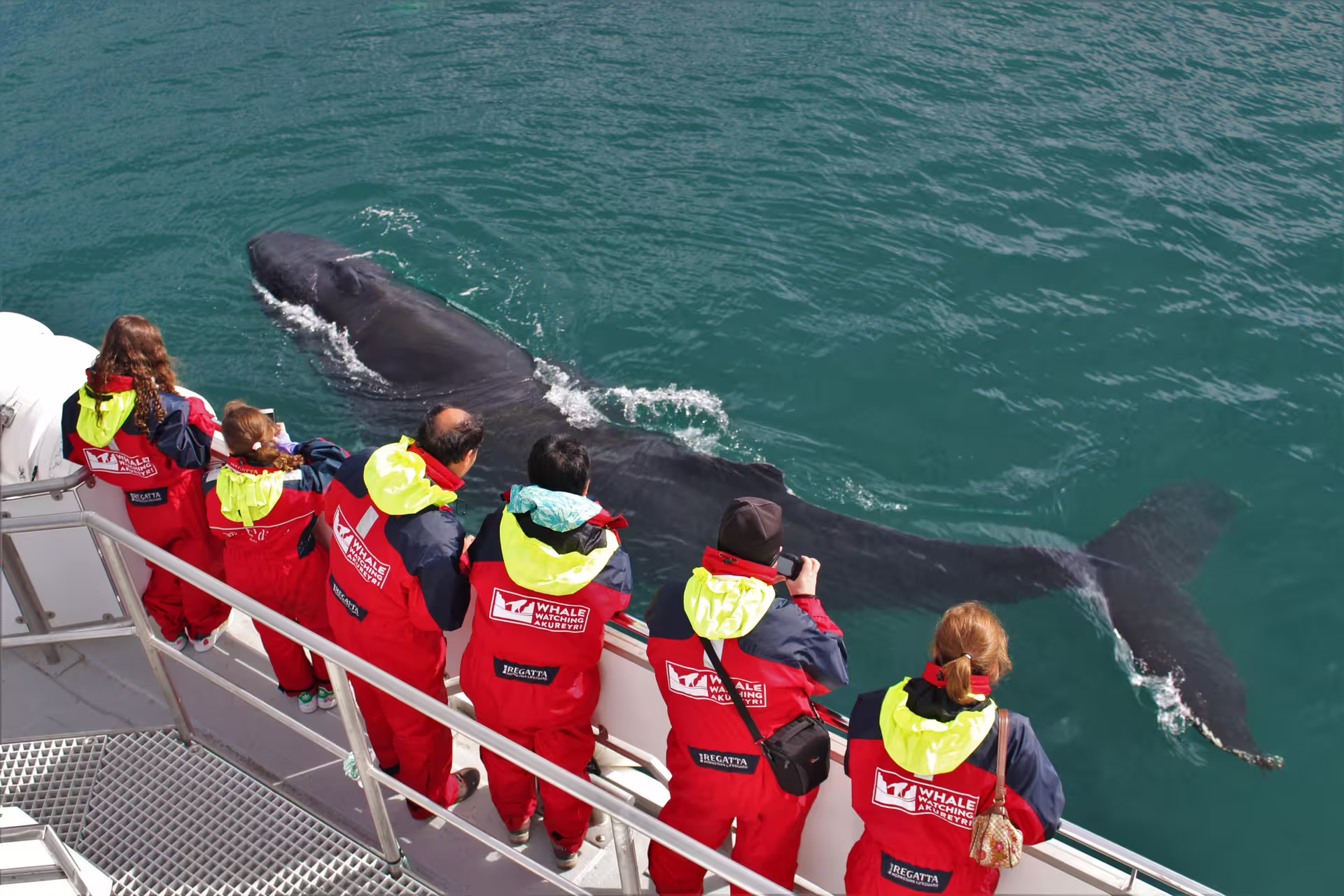 Tourists in red Whale Watching Akureyri suits observing two humpback whales surfacing beside tour boat