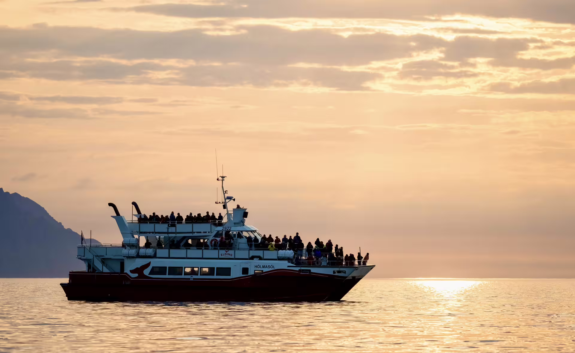 Crowded whale watching boat Hólmasól sailing calm golden waters at midnight sun in Akureyri Iceland