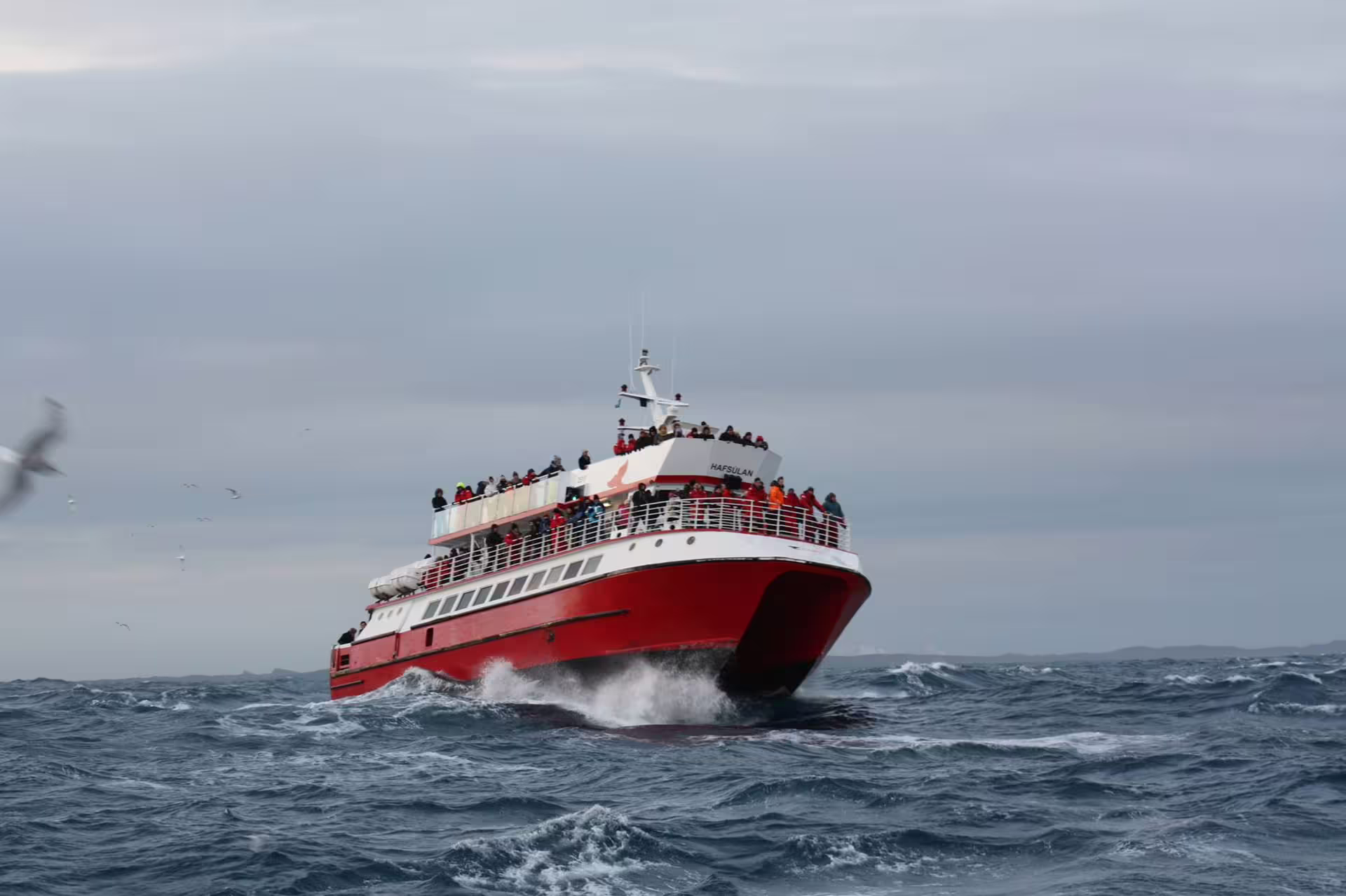 Red whale watching boat Hafsulan crowded with tourists sailing rough seas in Faxafloi Bay, Reykjavik