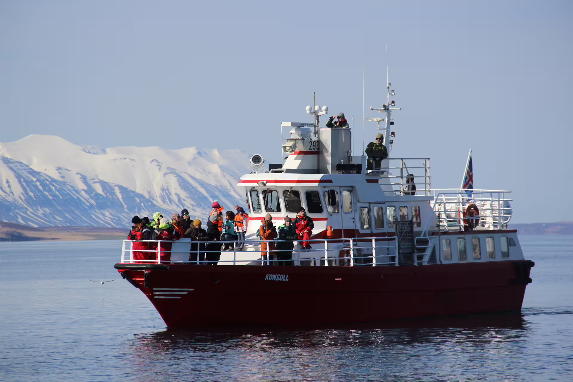 Whale watching boat Konsull with tourists on deck sailing calm waters near snow-capped mountains in Akureyri, Iceland