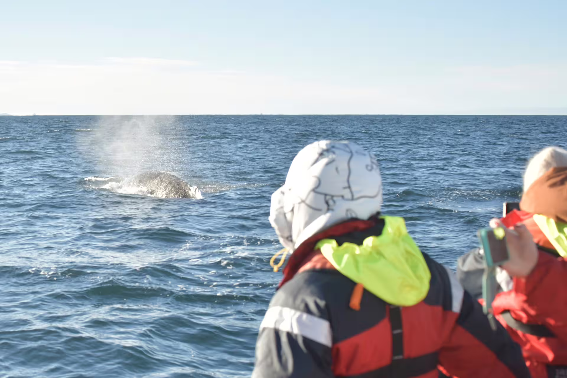 Whale watching tour participants in life jackets observe a whale spouting near Reykjavik coast