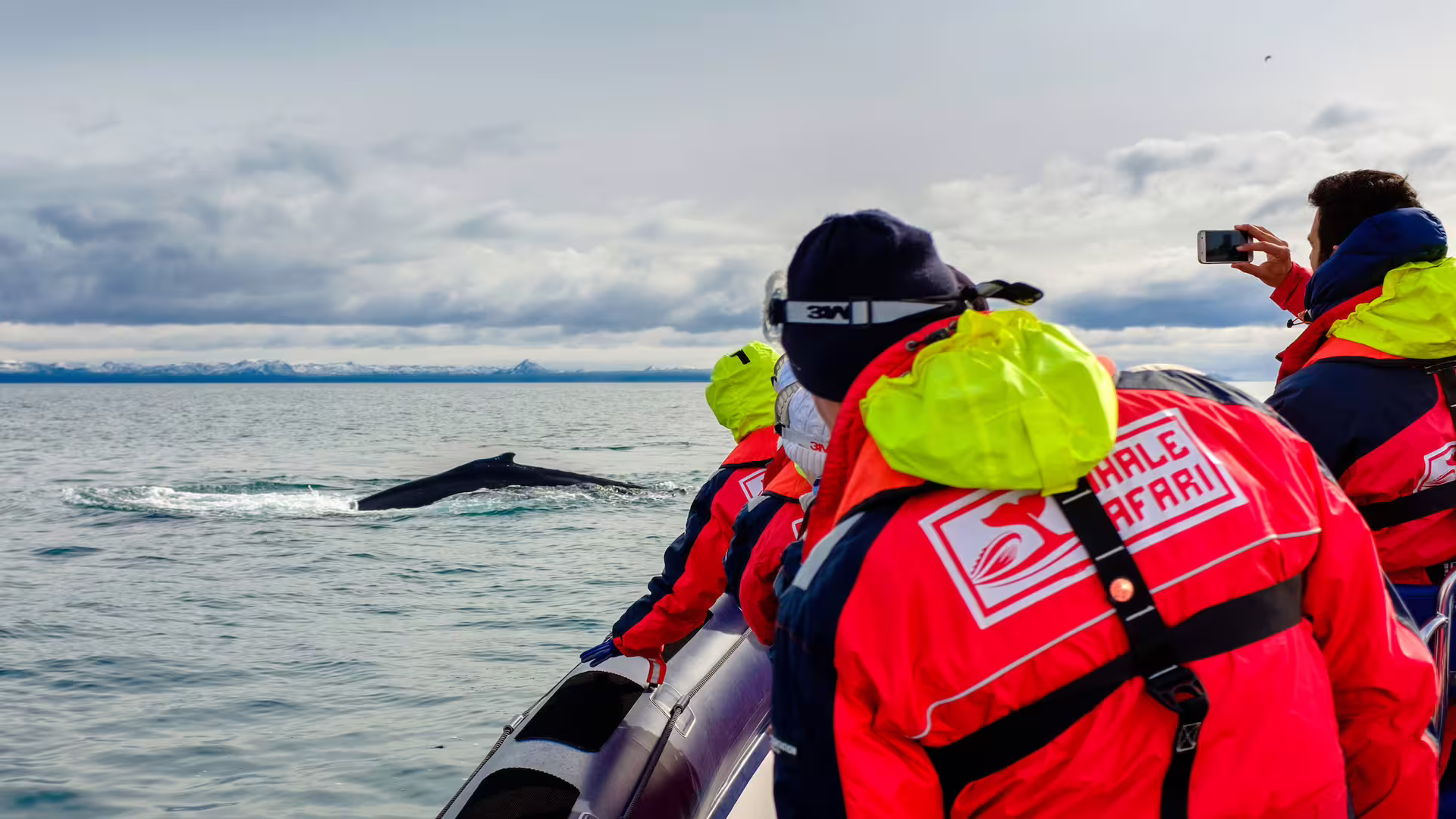 Whale safari tourists in red jackets watching humpback whale surface near Reykjavik on zodiac boat